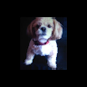 Meet your Posher, Keith